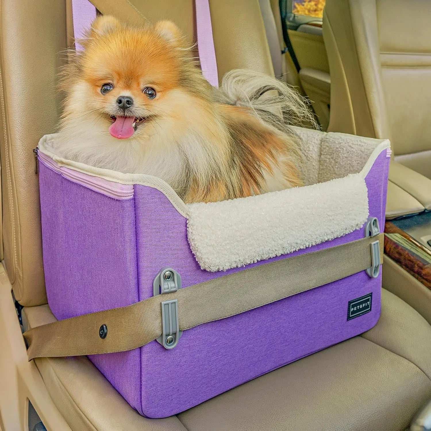 PETSFIT Small Dog Booster Car Seat with Safety Buckles & Tether, Foldable