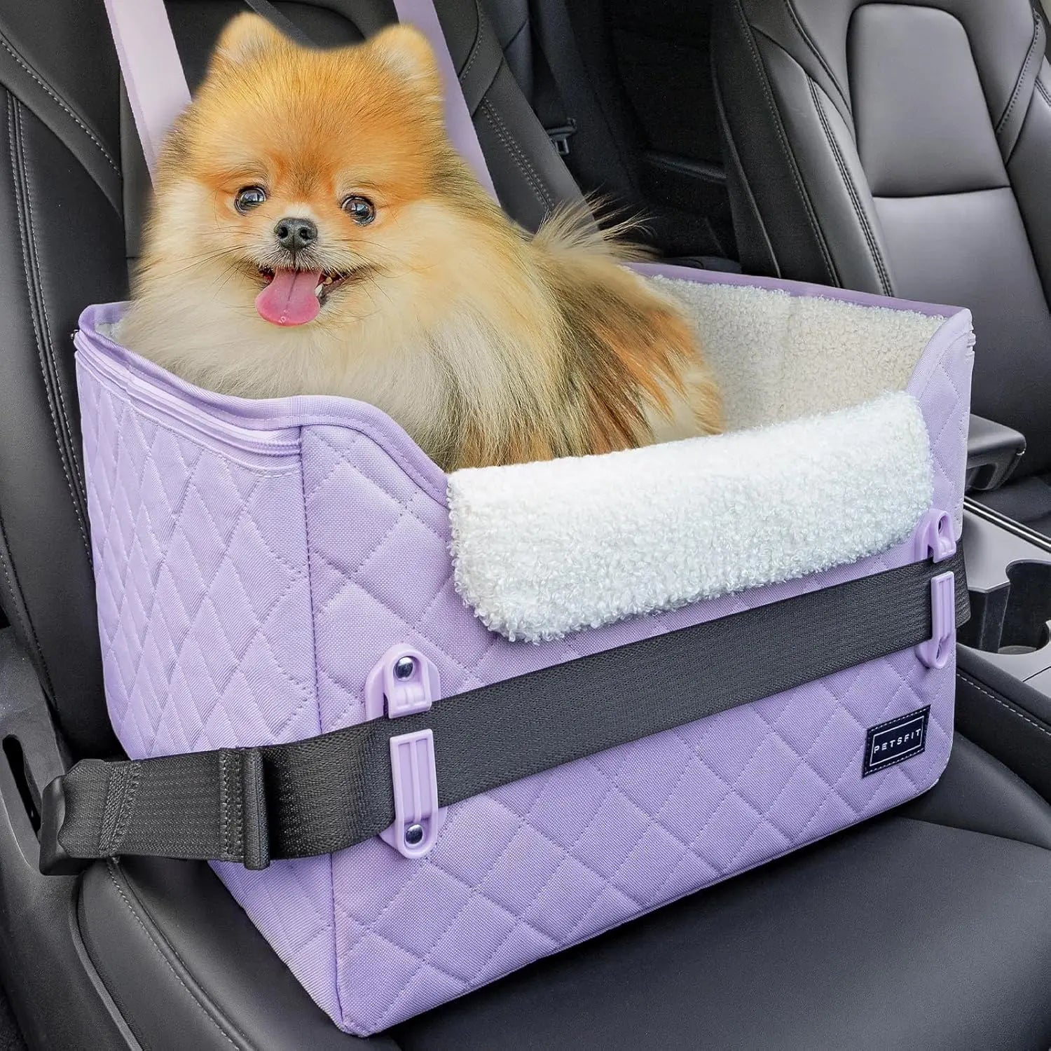 PETSFIT Small Dog Booster Car Seat with Safety Buckles & Tether, Foldable