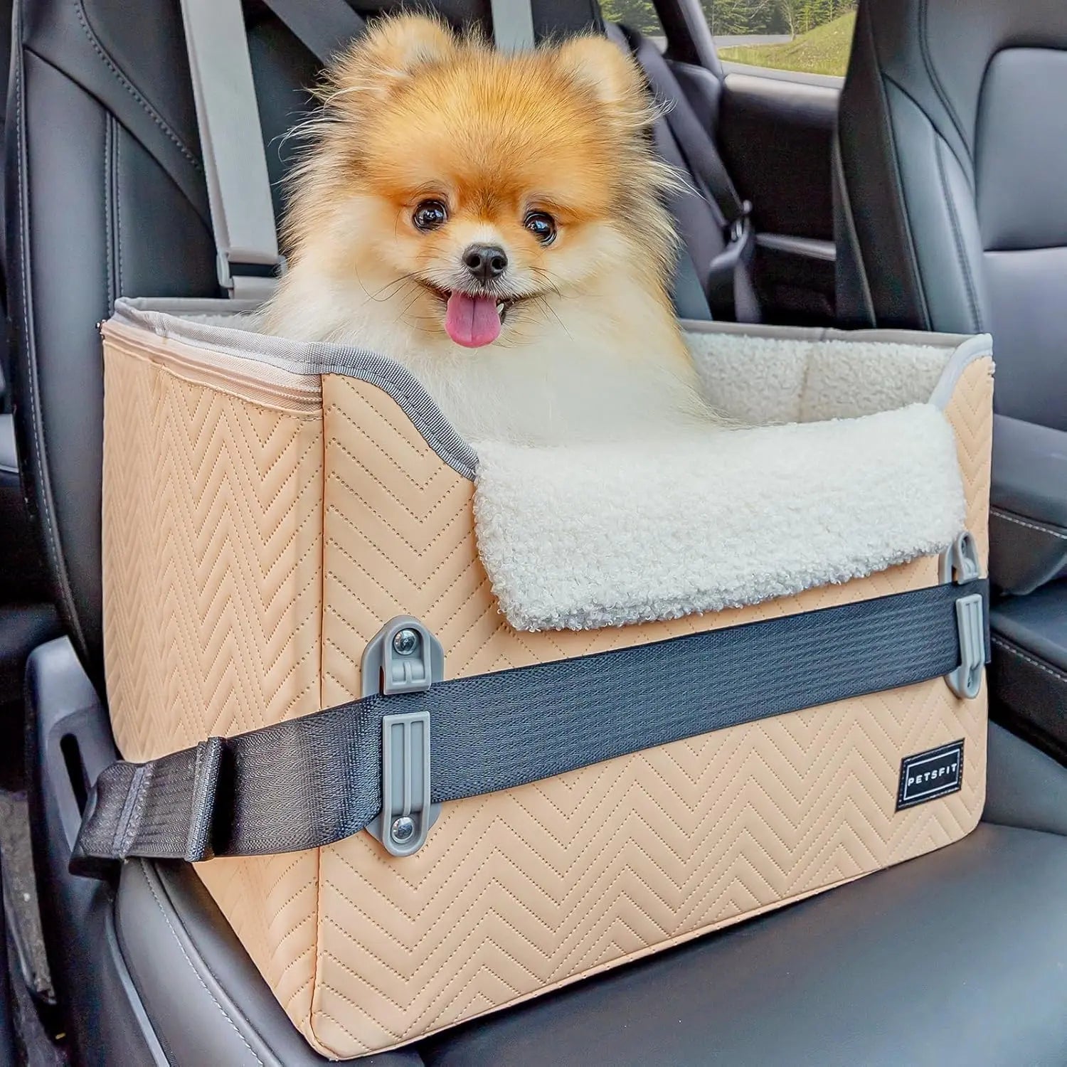 PETSFIT Small Dog Booster Car Seat with Safety Buckles & Tether, Foldable
