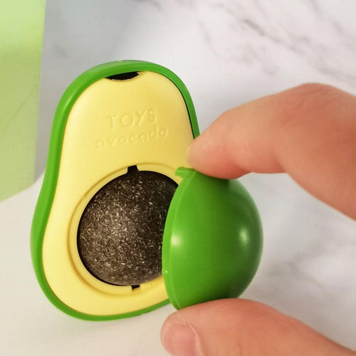 Catnip Wall Ball Toy for Indoor Cats | Teeth Cleaning & Boredom Relief