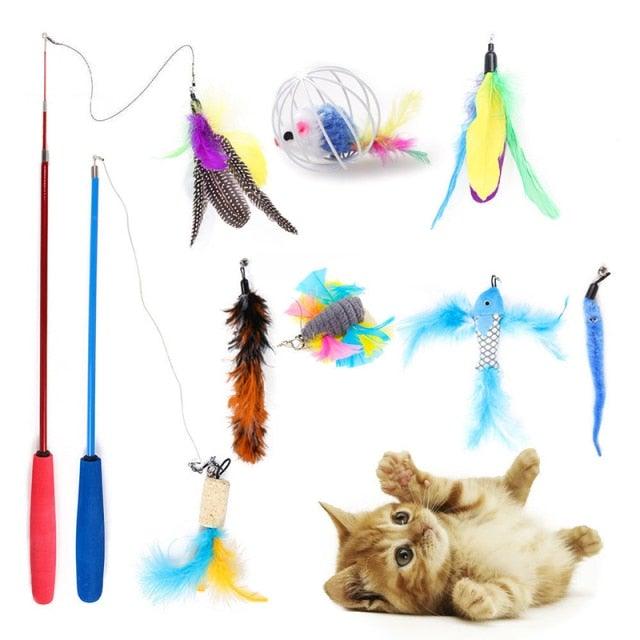 Cat Toys Mouse Shape Assortments  Shapes Interactive Pet Toys.
